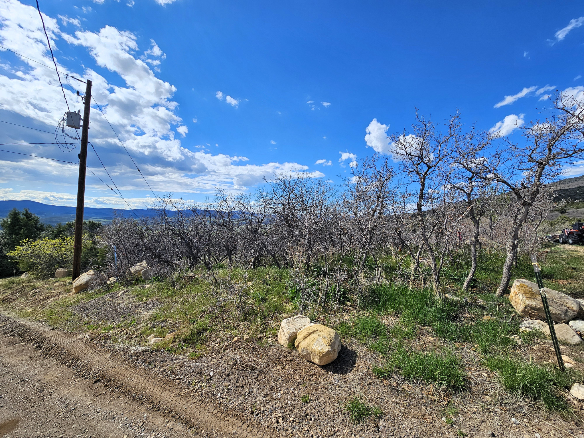 SKYLINE MOUNTAIN RES - Land