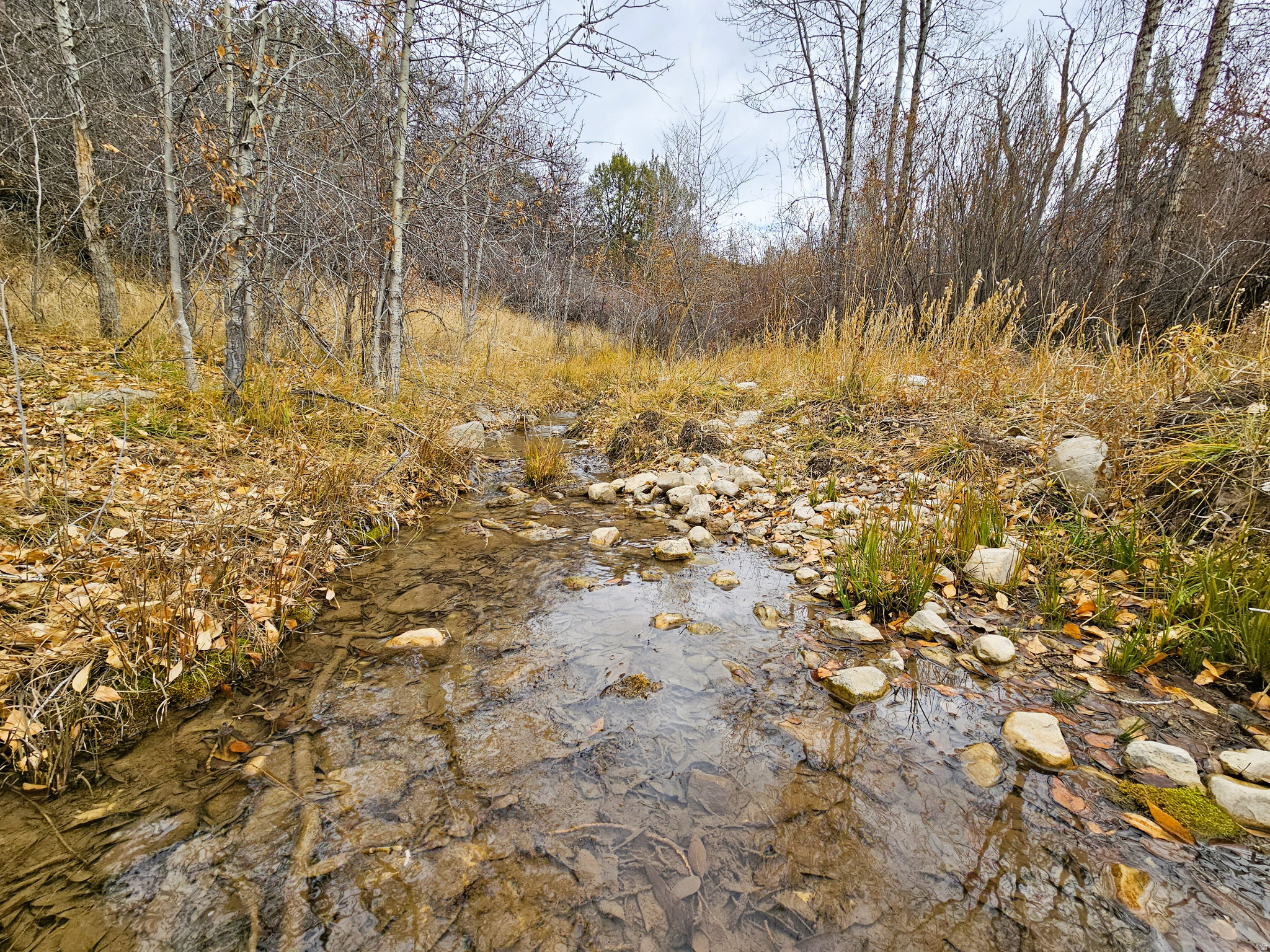 SKYLINE MOUNTAIN RES - Land
