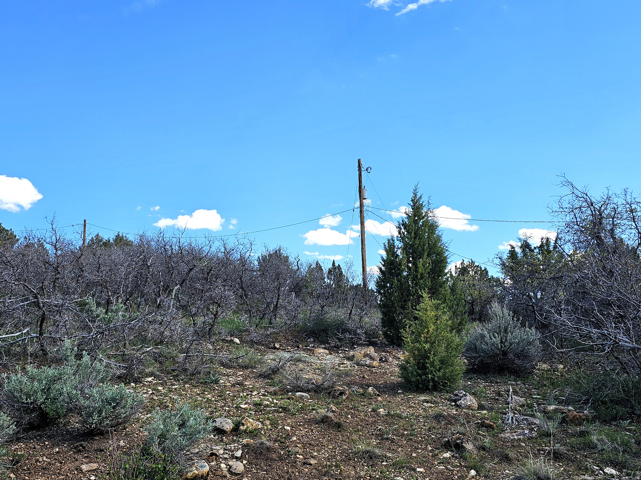 SKYLINE MOUNTAIN RES - Land