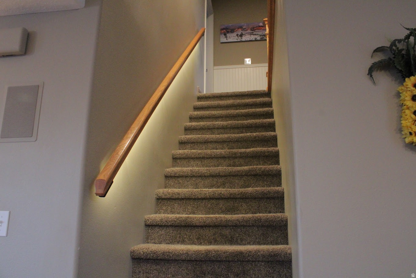 PICKET LANE - Residential