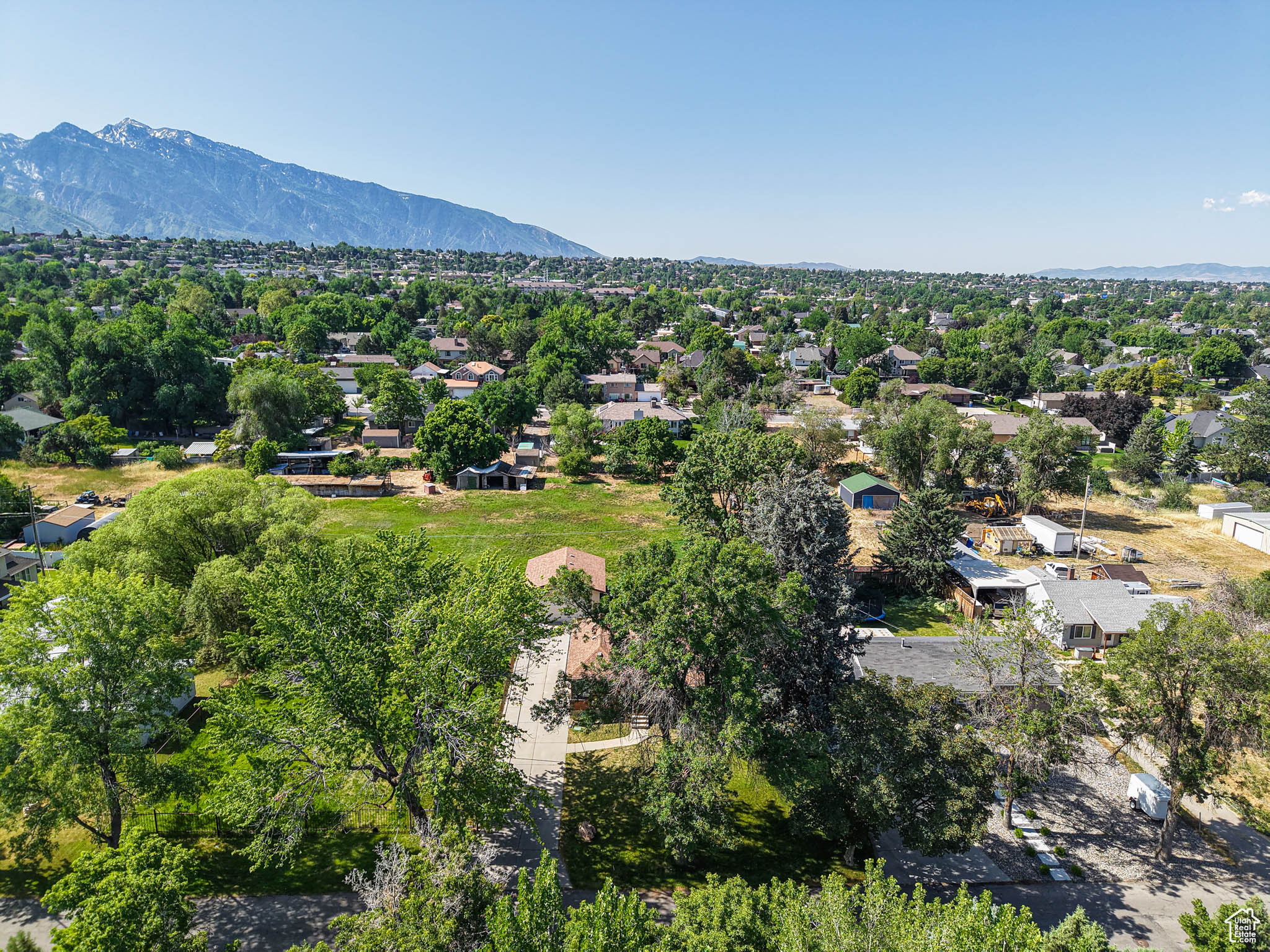 ELLISON WOODS - Land