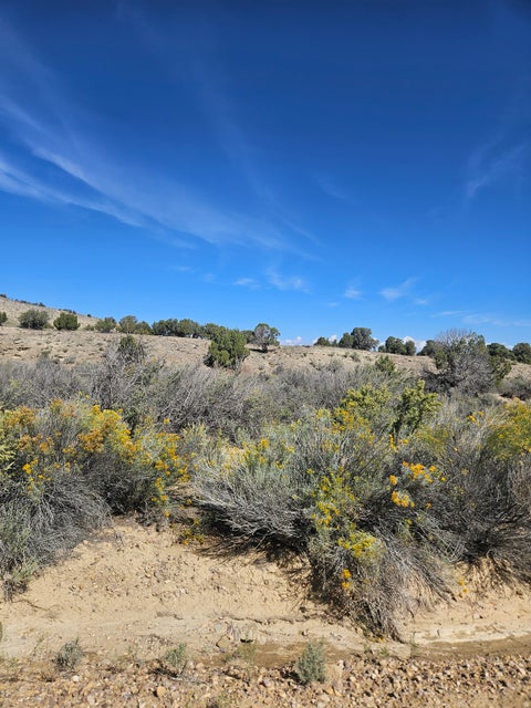 Vacant Land For Sale - #33<br/> Duchesne County, Duchesne, UT 84021