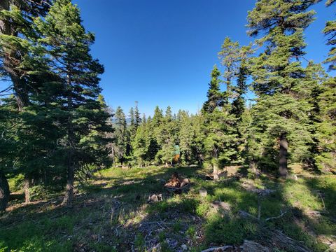 Vacant Land For Sale - 6220 W Brook Ln<br/> Duck Creek Village, UT 84762