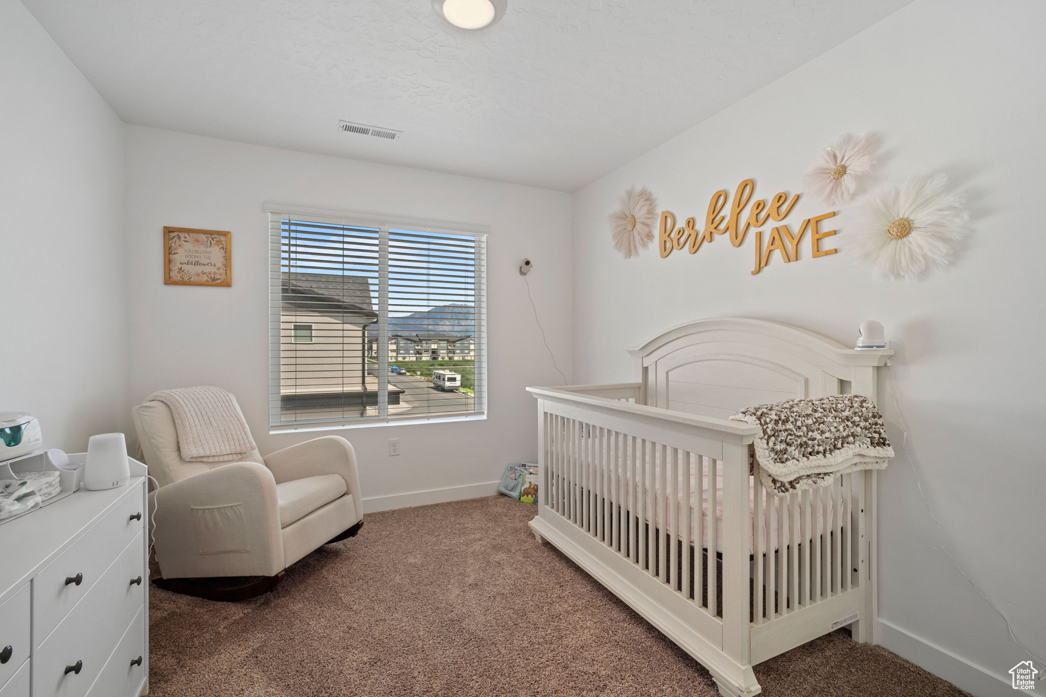 348 S 1150, American Fork, Utah image 22