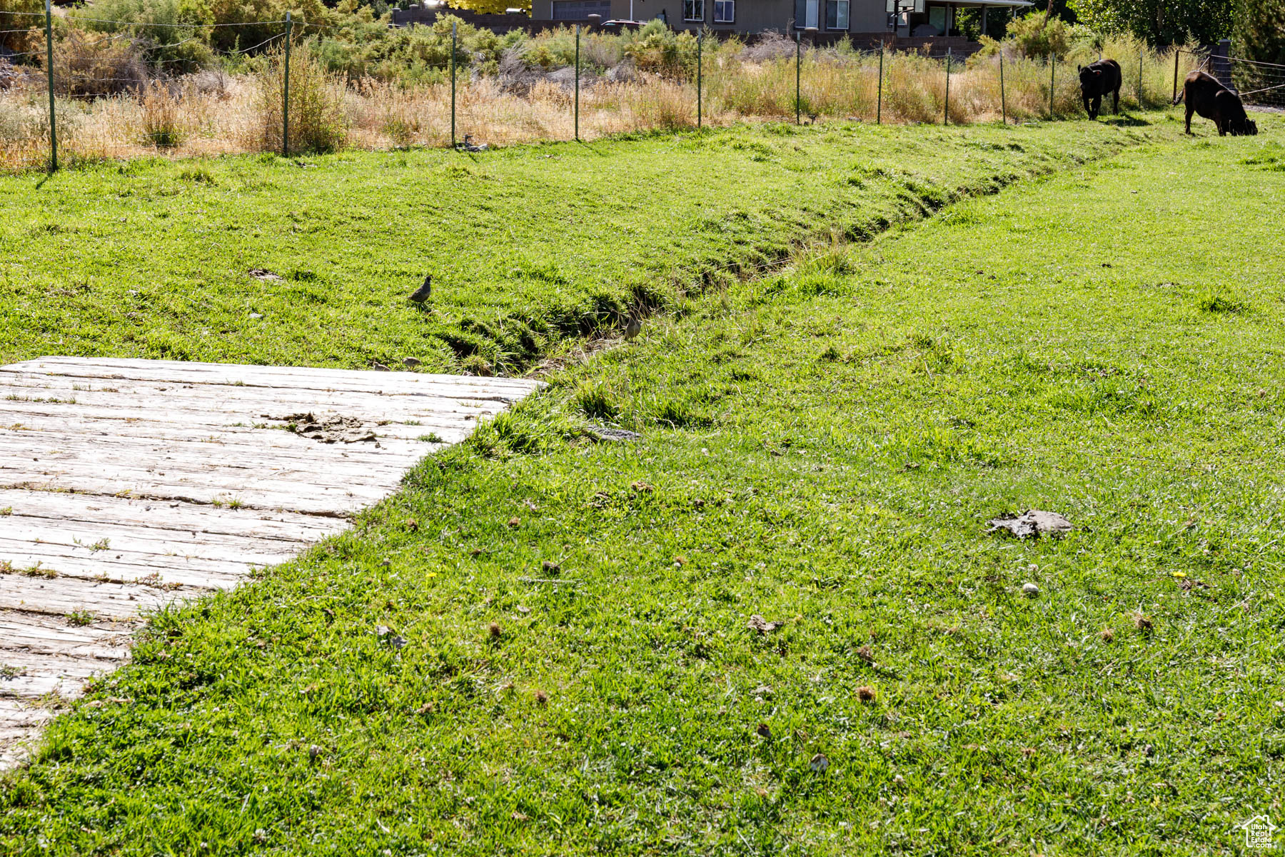 MECHAM SUBDIVISION - Residential