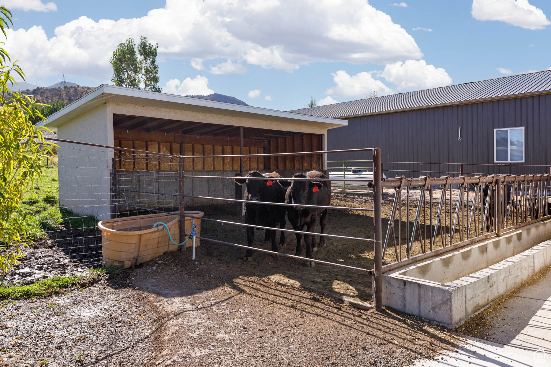 MECHAM SUBDIVISION - Residential