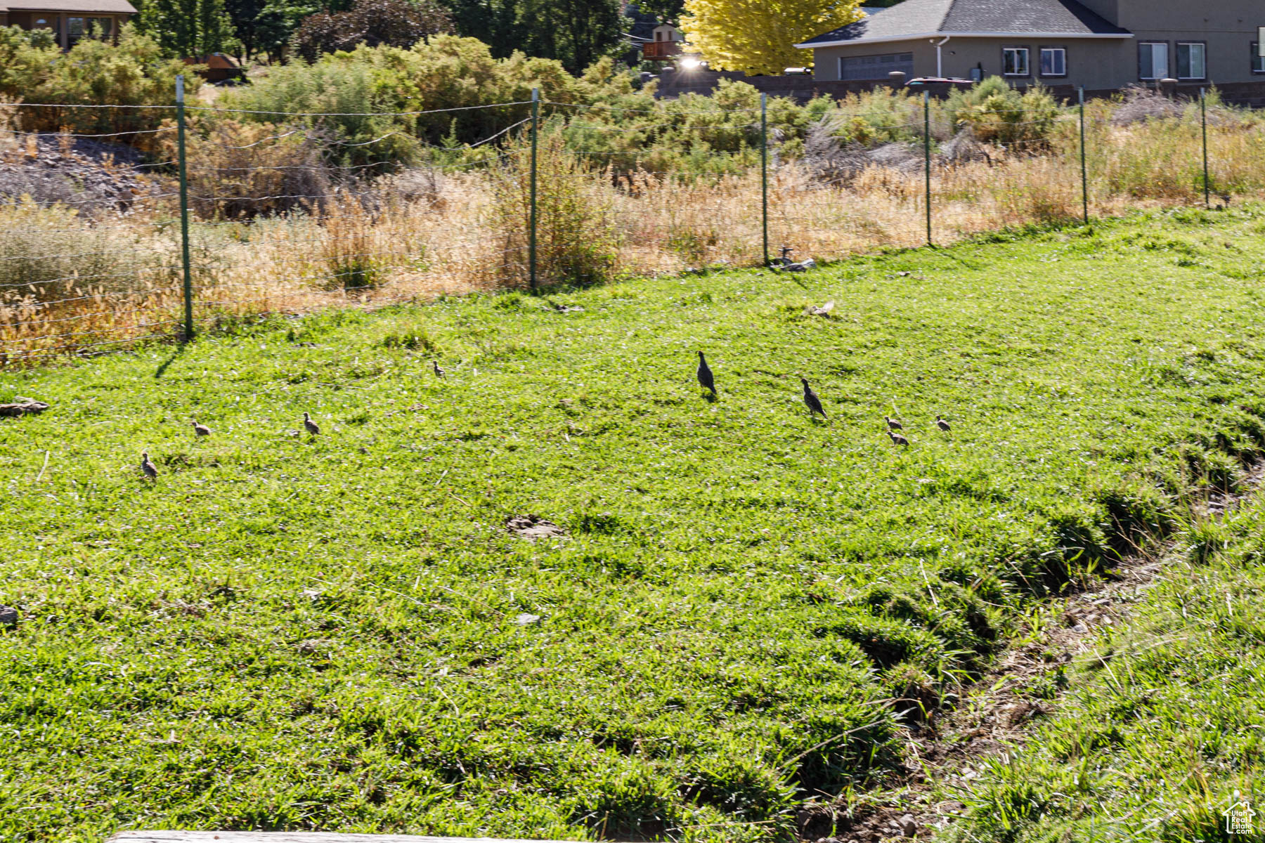 MECHAM SUBDIVISION - Residential