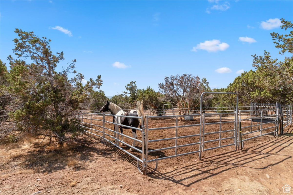 YOUNG PROPERTY - Residential