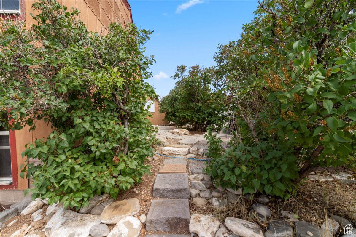 YOUNG PROPERTY - Residential