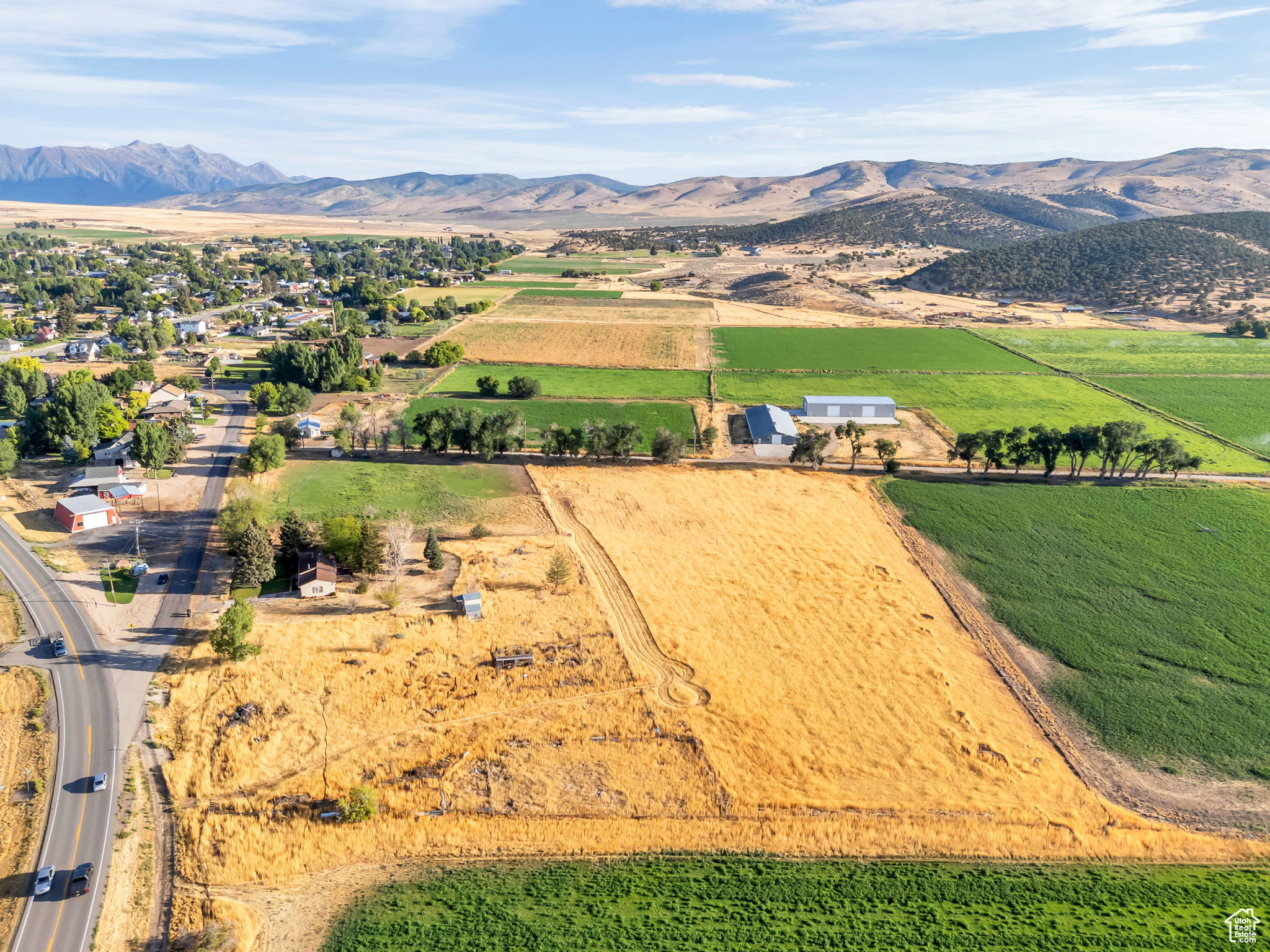 YOUNG PROPERTY - Residential