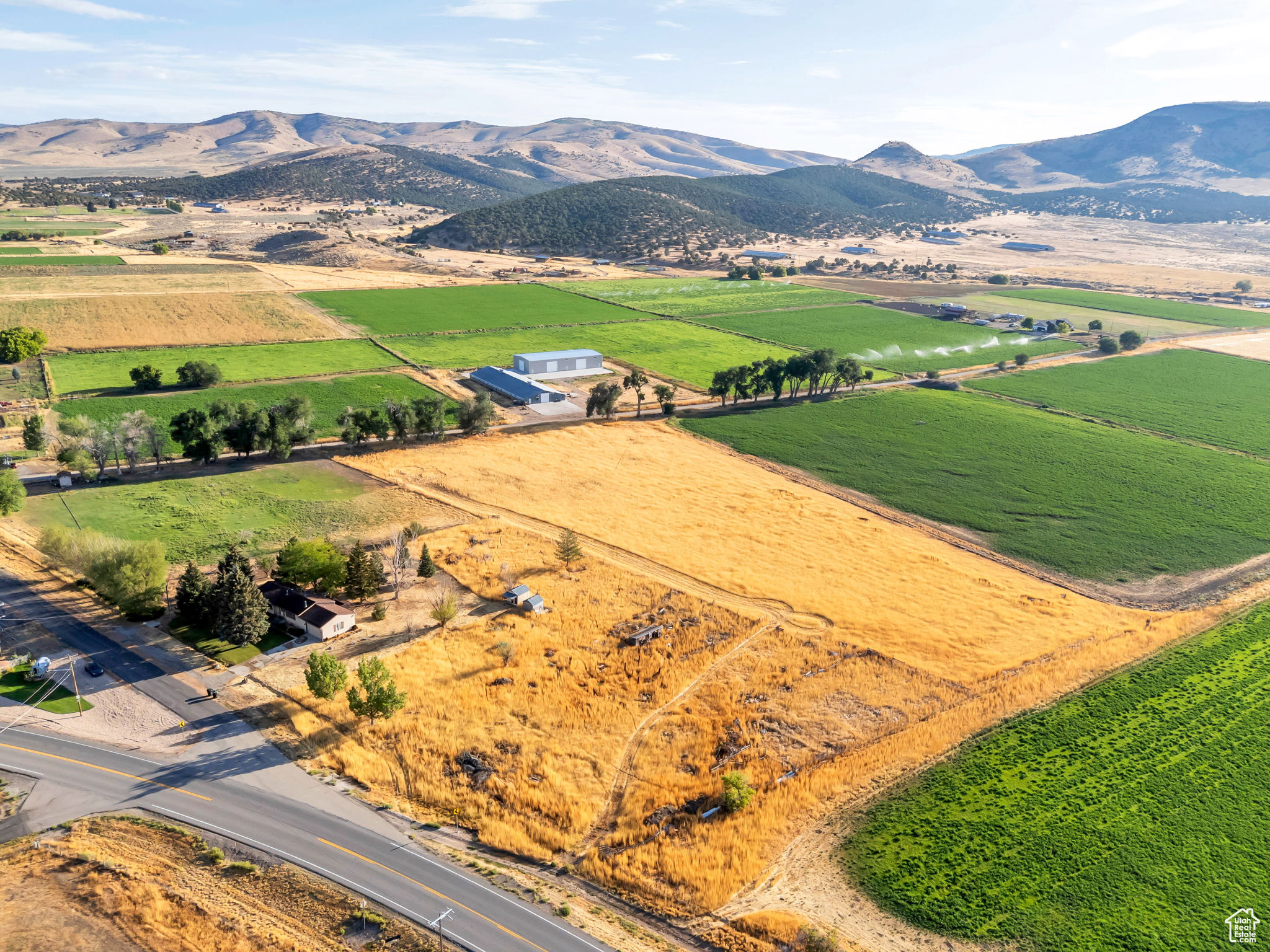 YOUNG PROPERTY - Residential