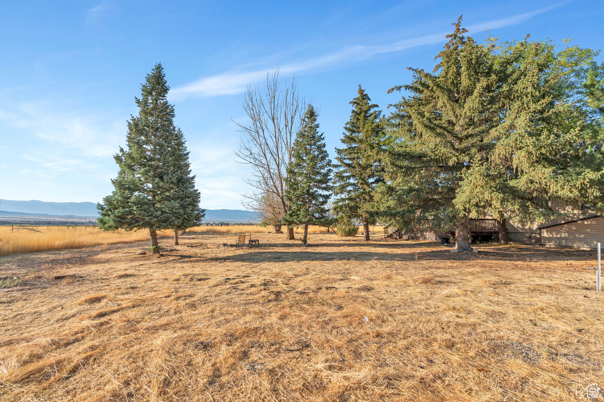 YOUNG PROPERTY - Residential