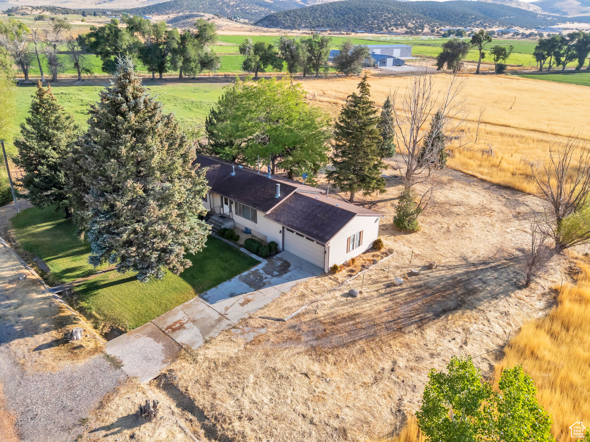 YOUNG PROPERTY - Residential