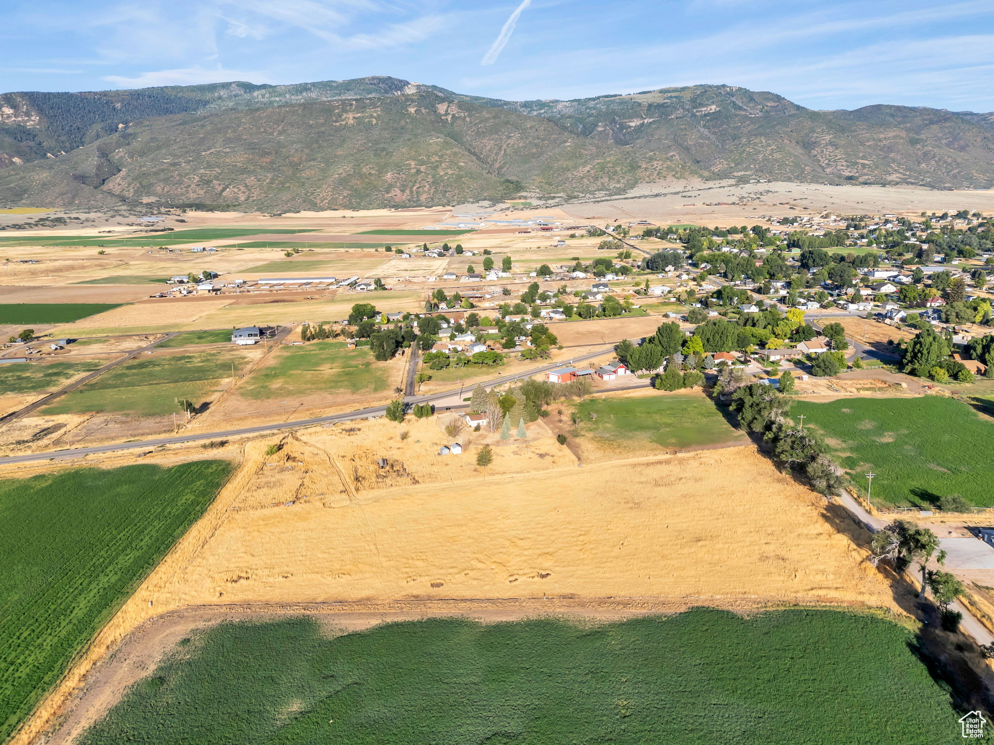 YOUNG PROPERTY - Residential