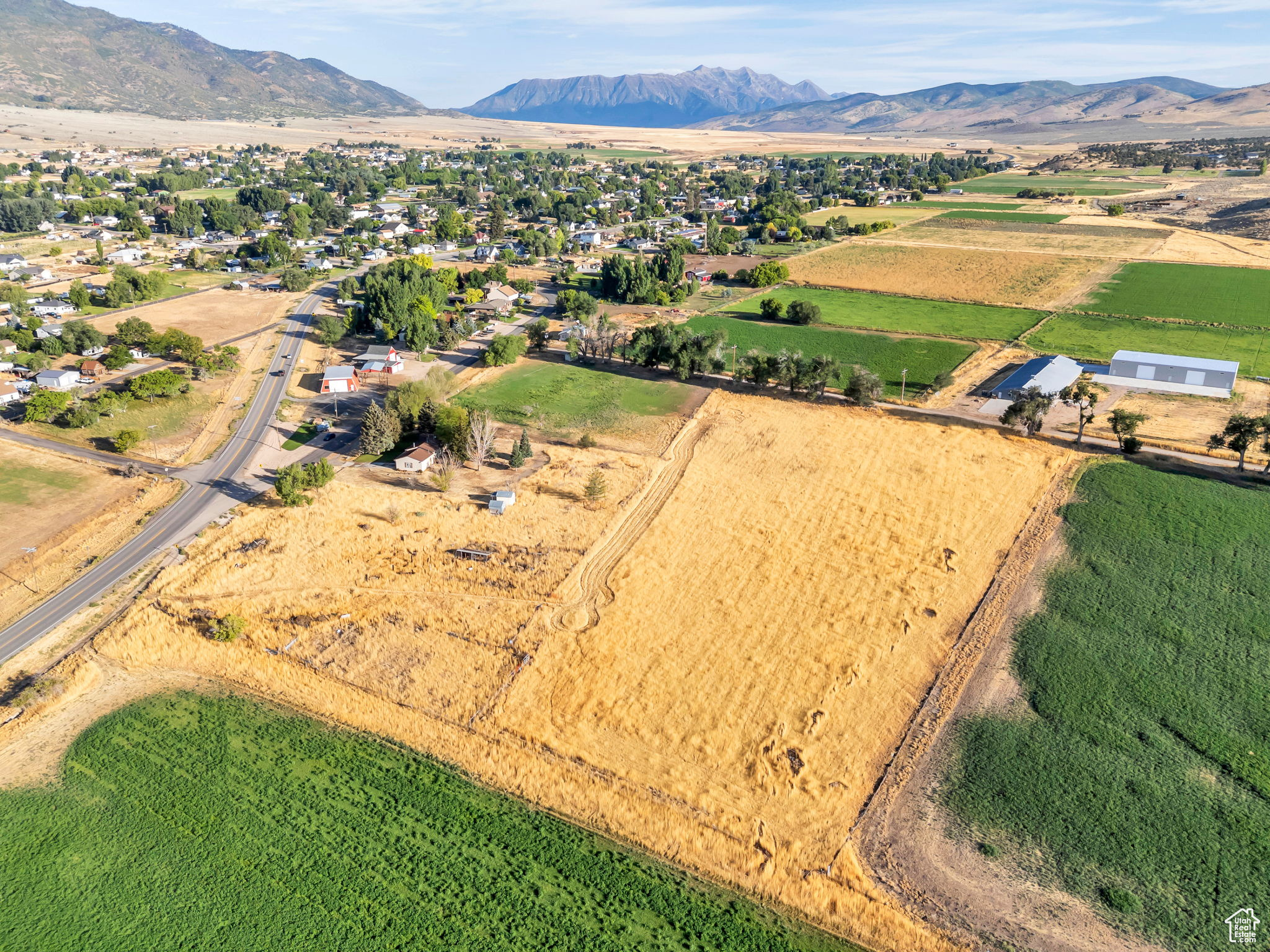 YOUNG PROPERTY - Residential