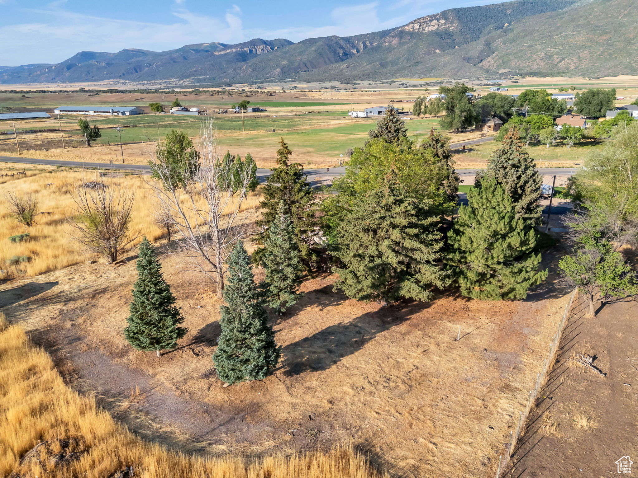 YOUNG PROPERTY - Residential