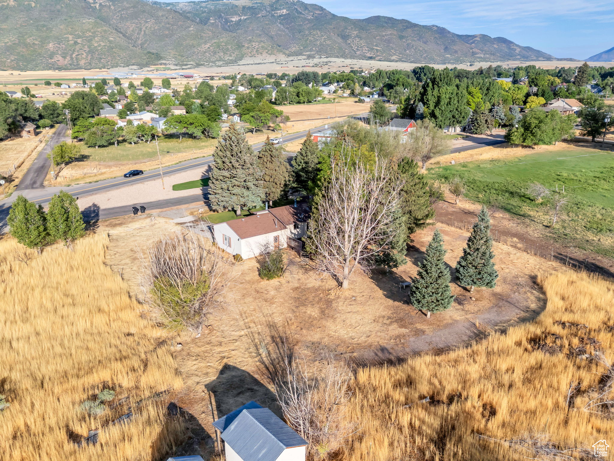 YOUNG PROPERTY - Residential