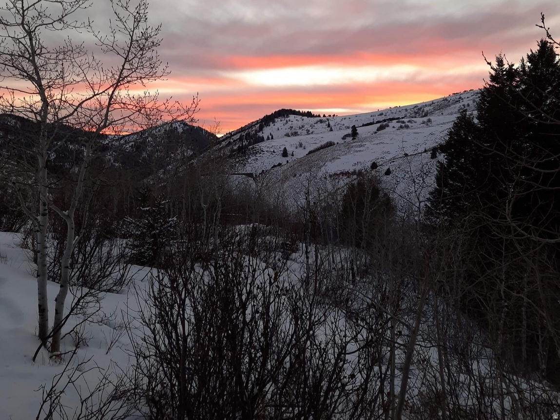 SUNRIDGE - Residential