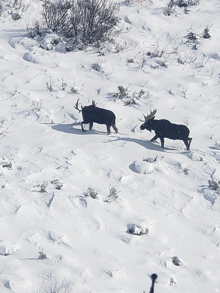 SUNRIDGE - Residential