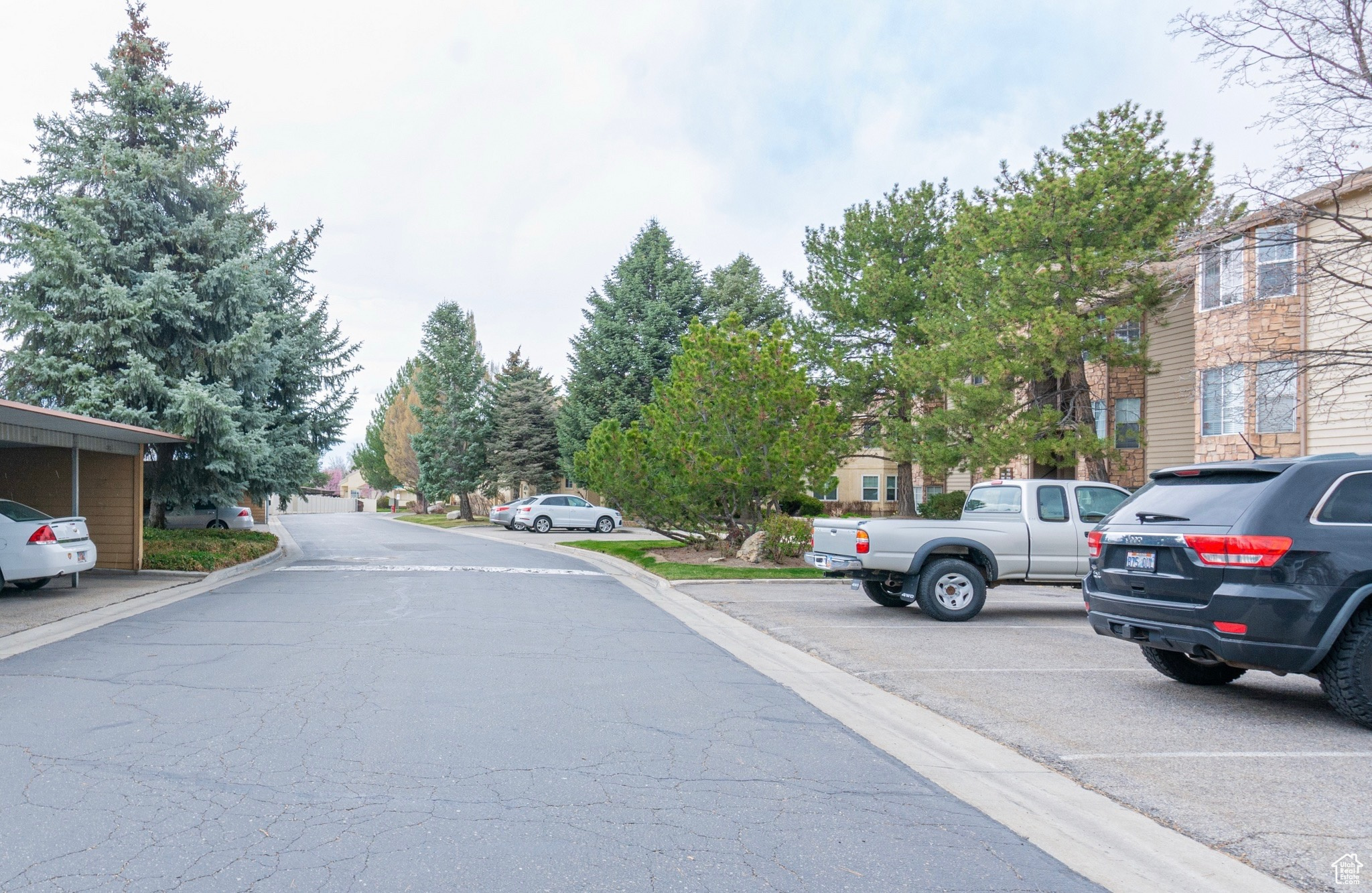 BRIARWOOD SPRINGS CO - Residential