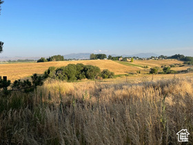 850 S 1100, Preston, Idaho image 9