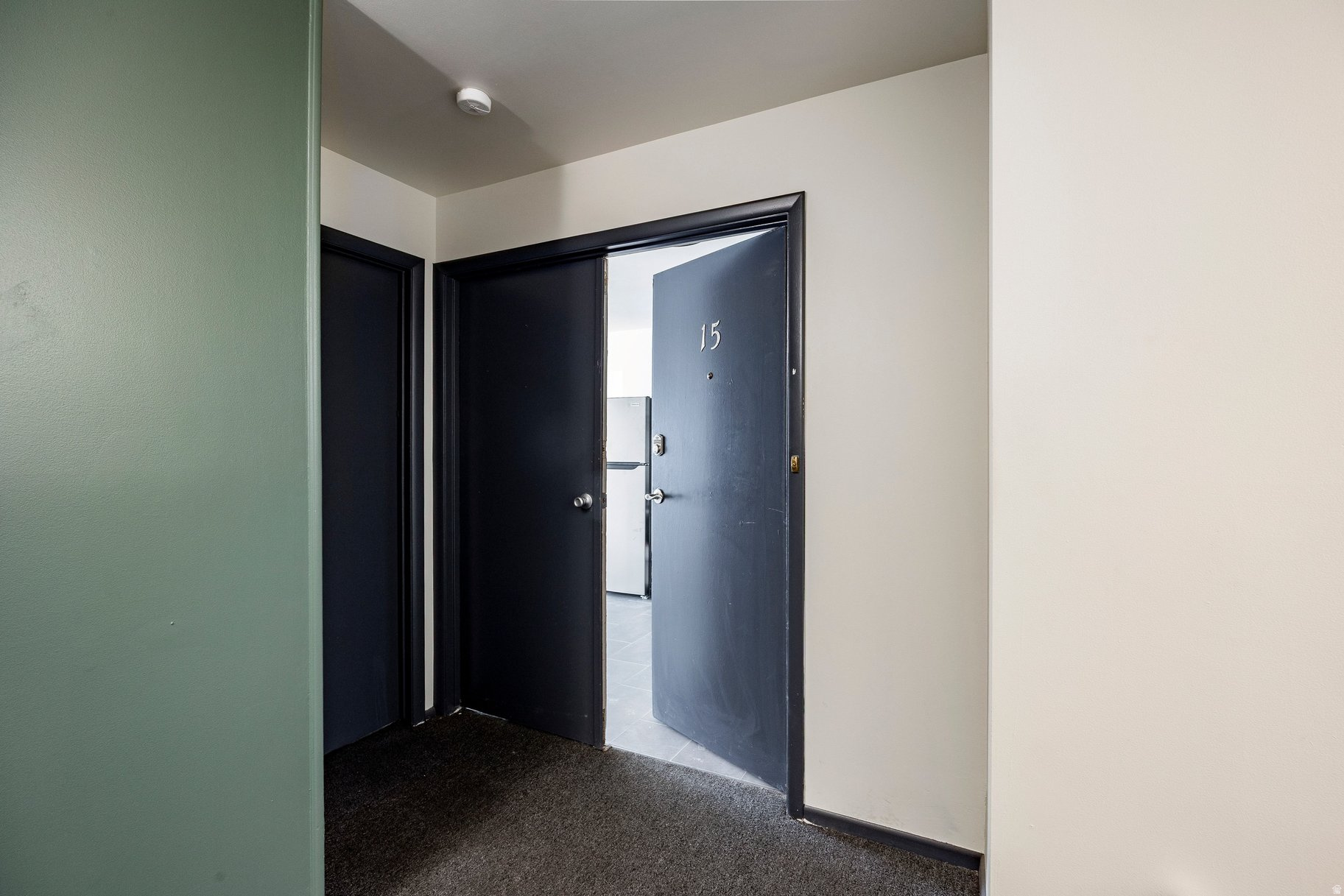 PARTRIDGE PLACE CONDM - Residential