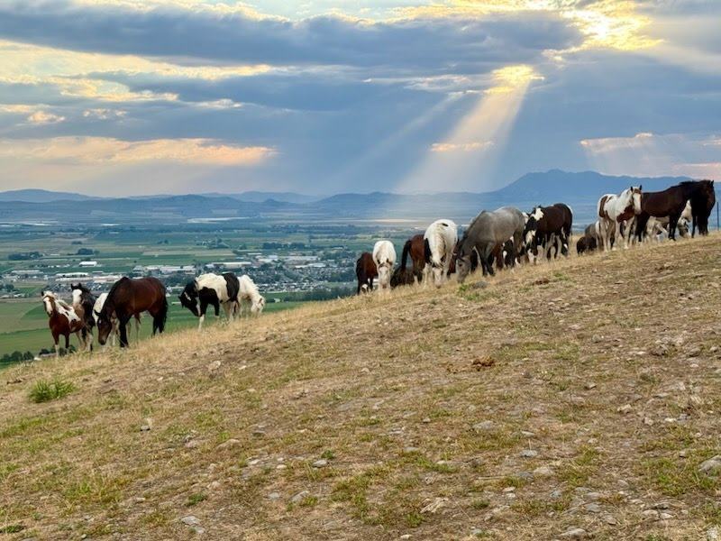 MOUNTAIN GATE SUBDIV - Residential