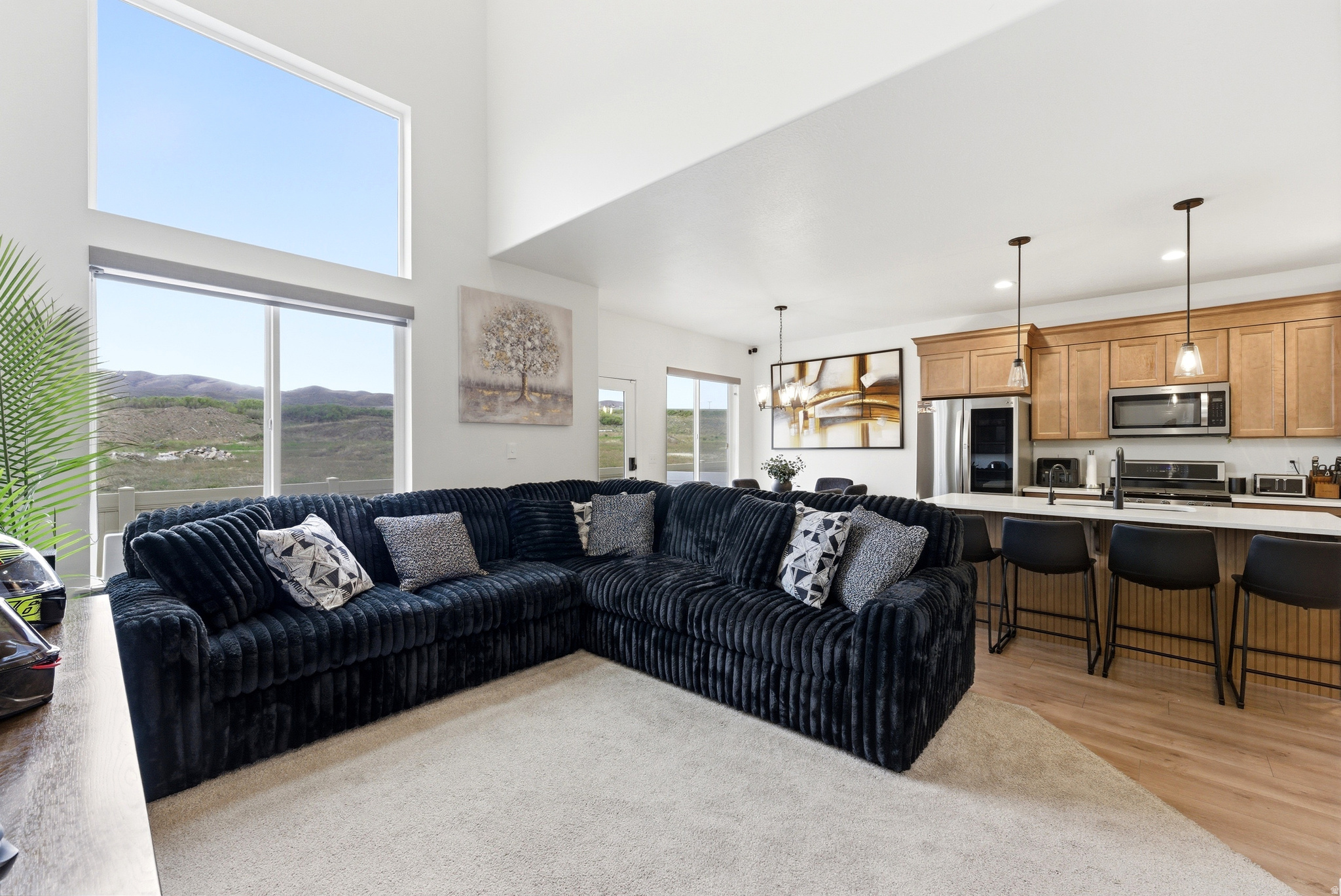 WILLOW POINT - Residential