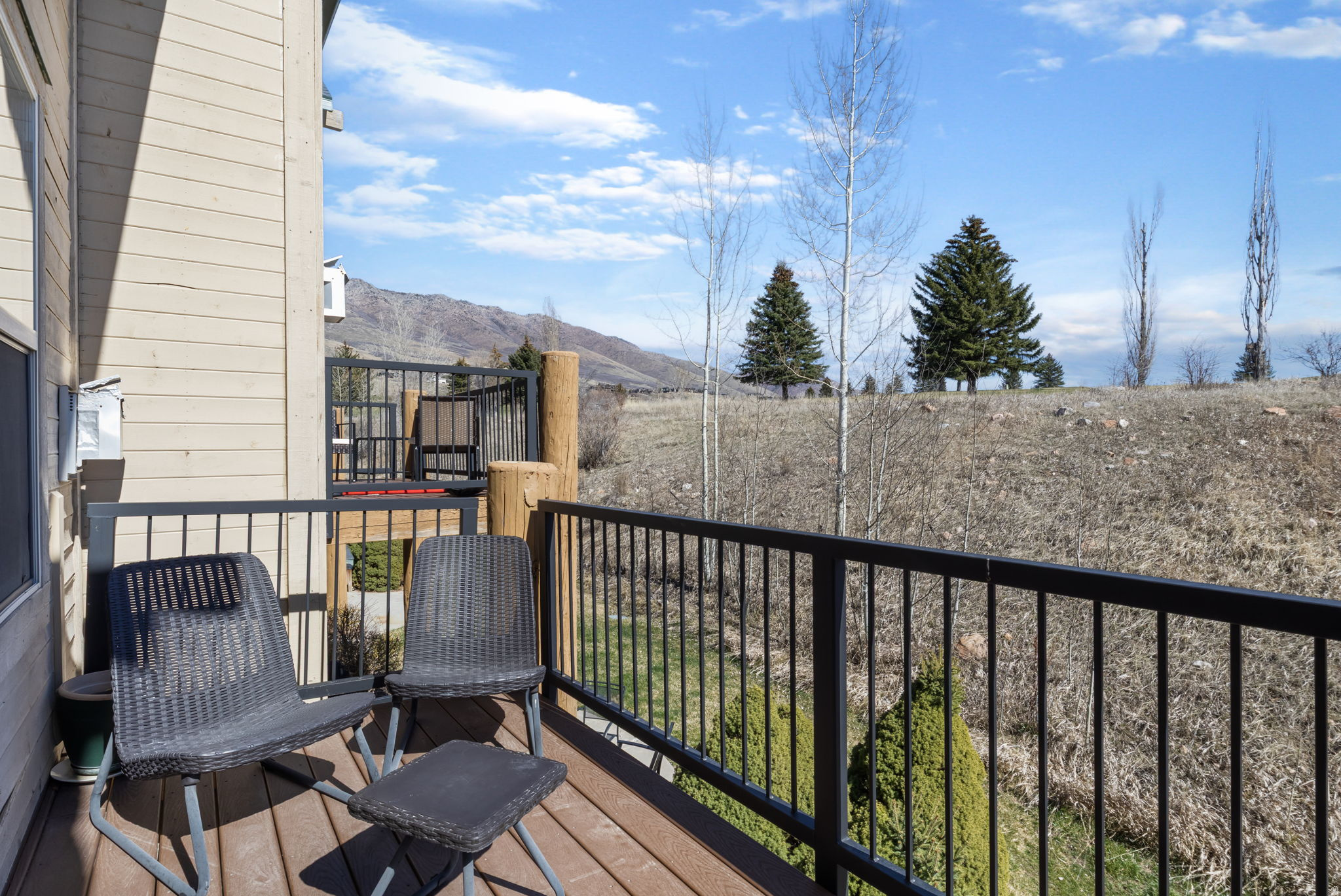 THE MOOSE HOLLOW - Residential