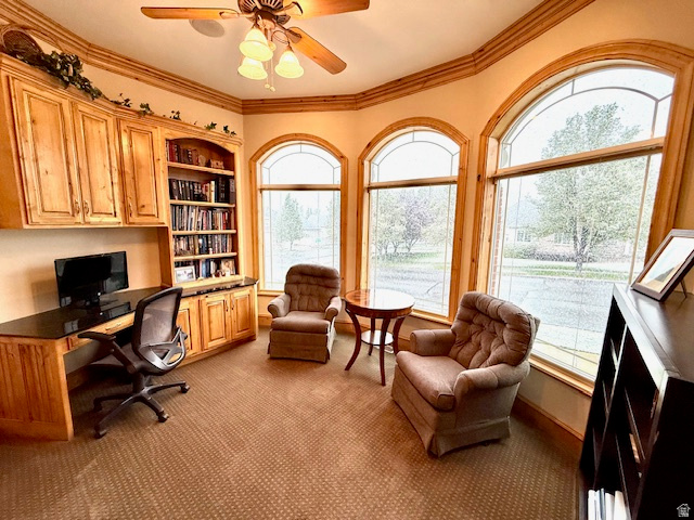 CANYON BROOK - Residential