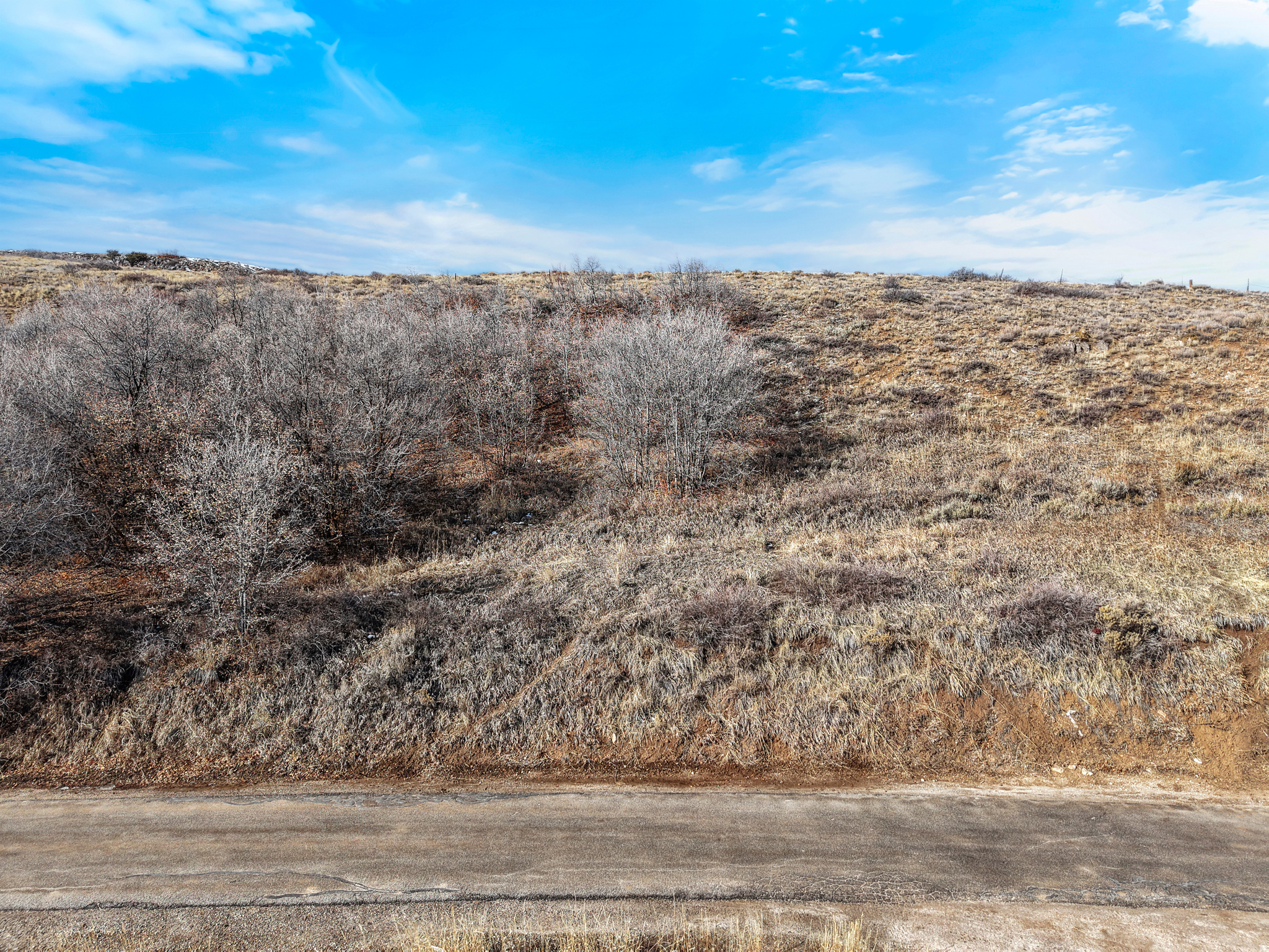 RASPBERRY PATCH ESTATES - Land