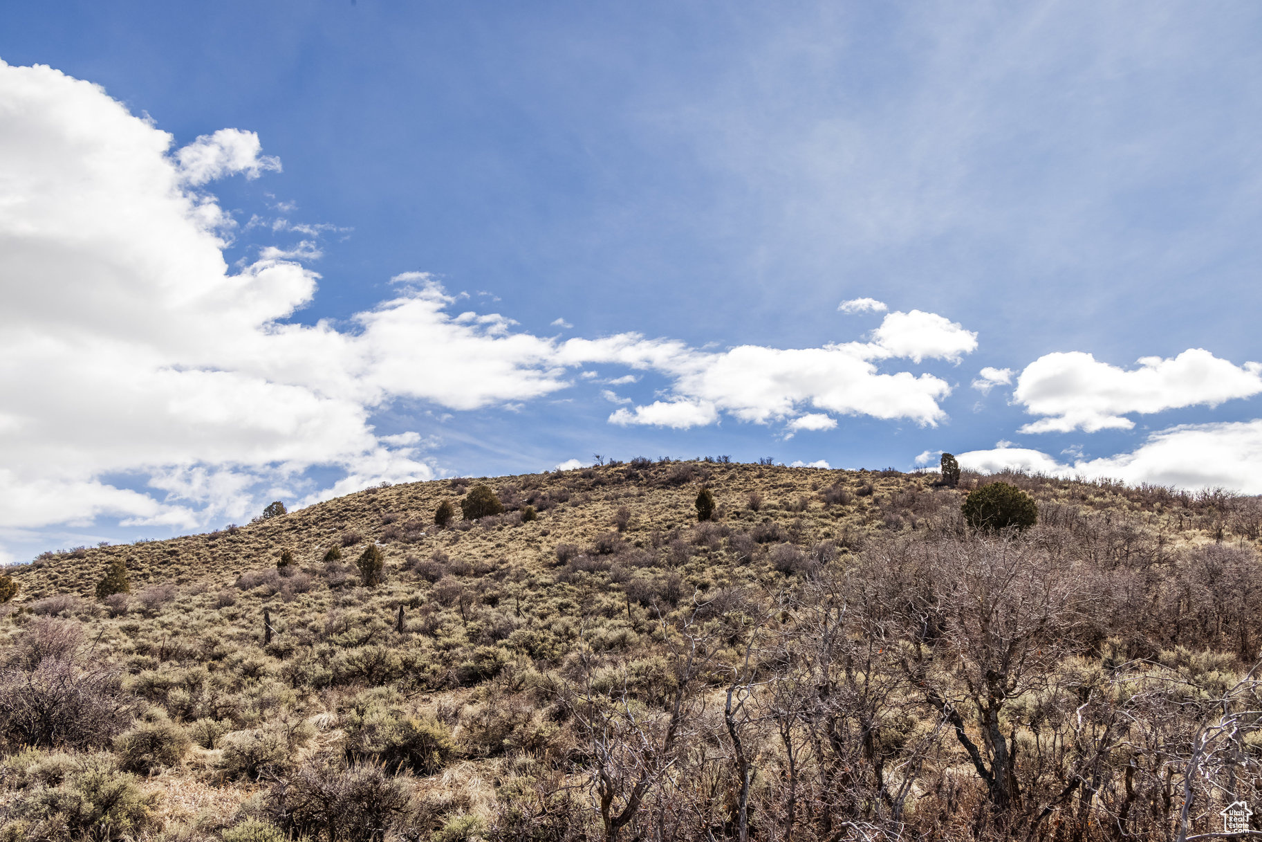 BLUE SAGE RANCHES - Land