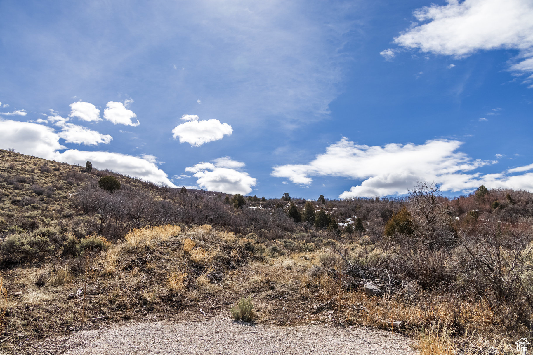 BLUE SAGE RANCHES - Land