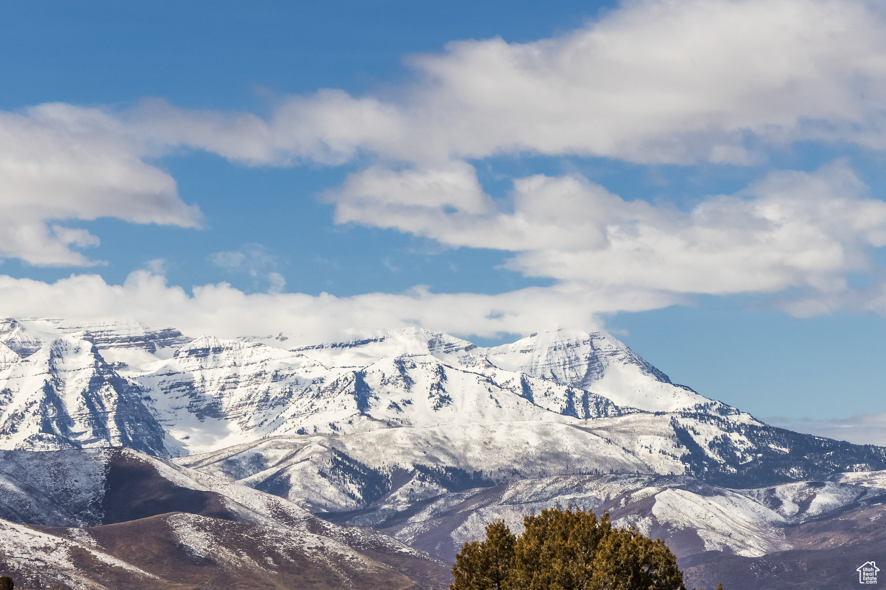 BLUE SAGE RANCHES - Land