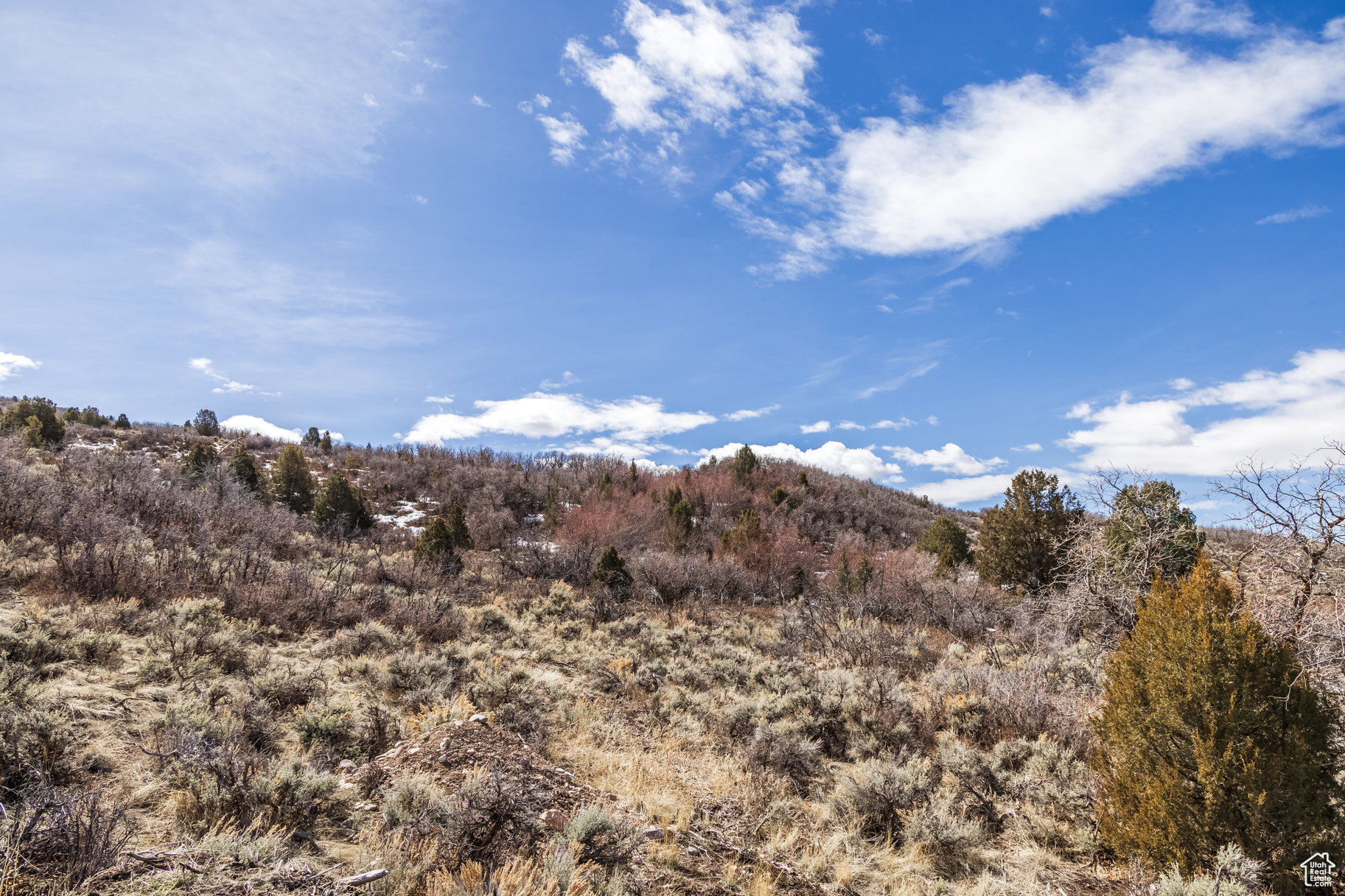 BLUE SAGE RANCHES - Land