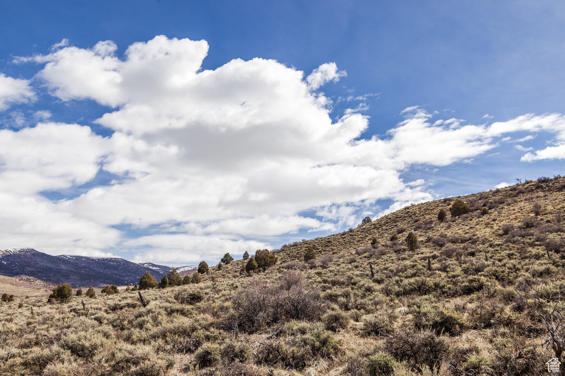 BLUE SAGE RANCHES - Land