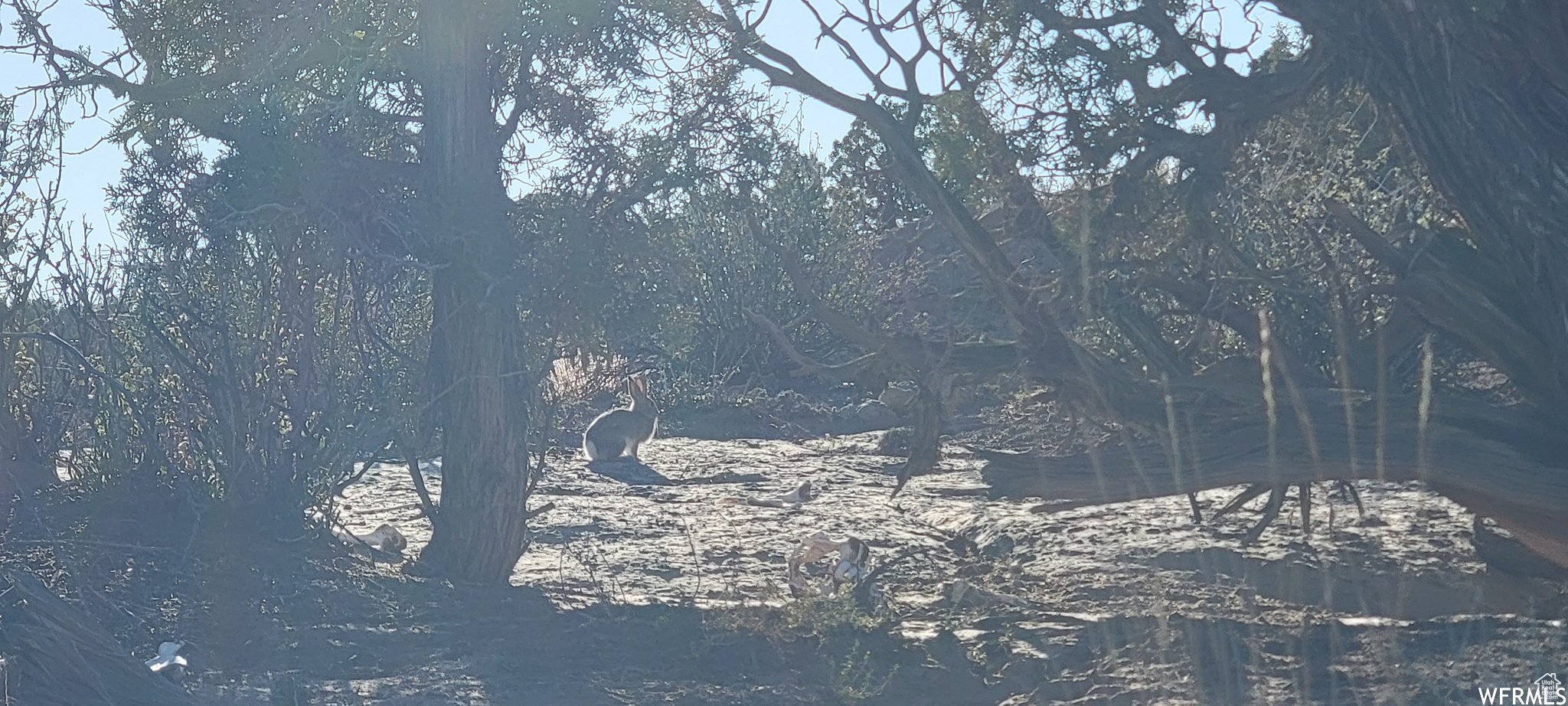 LAKE POINTE RANCHES - Land