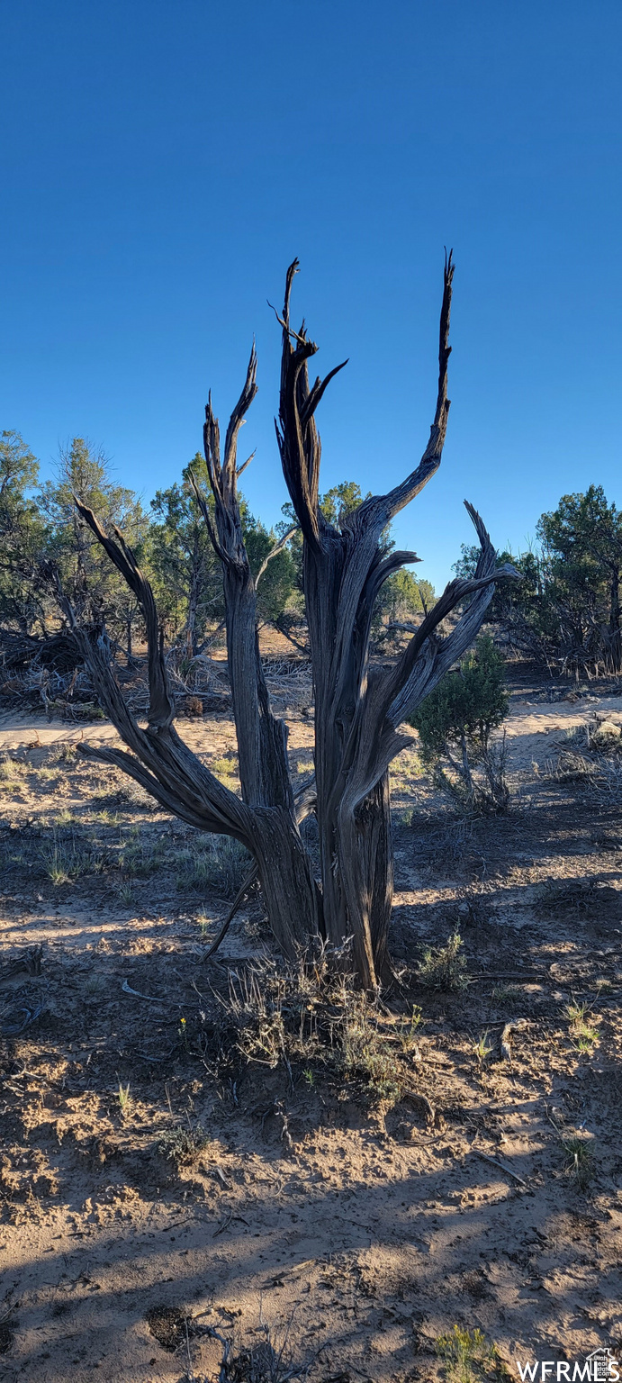 LAKE POINTE RANCHES - Land