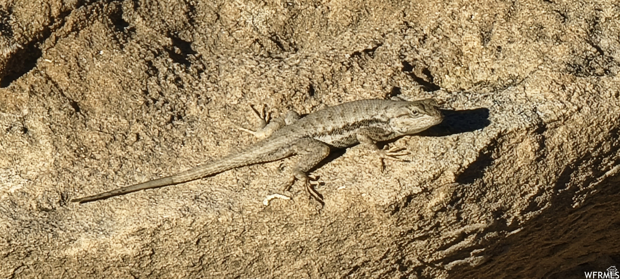 LAKE POINTE RANCHES - Land