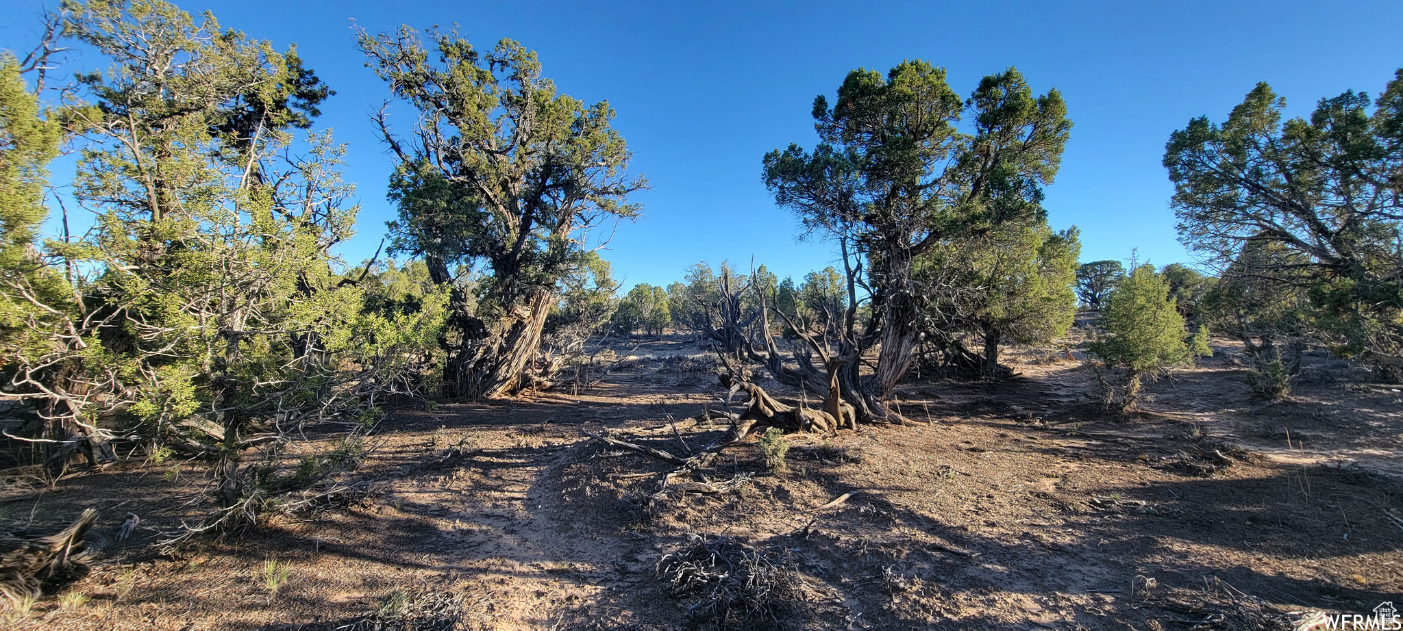 LAKE POINTE RANCHES - Land