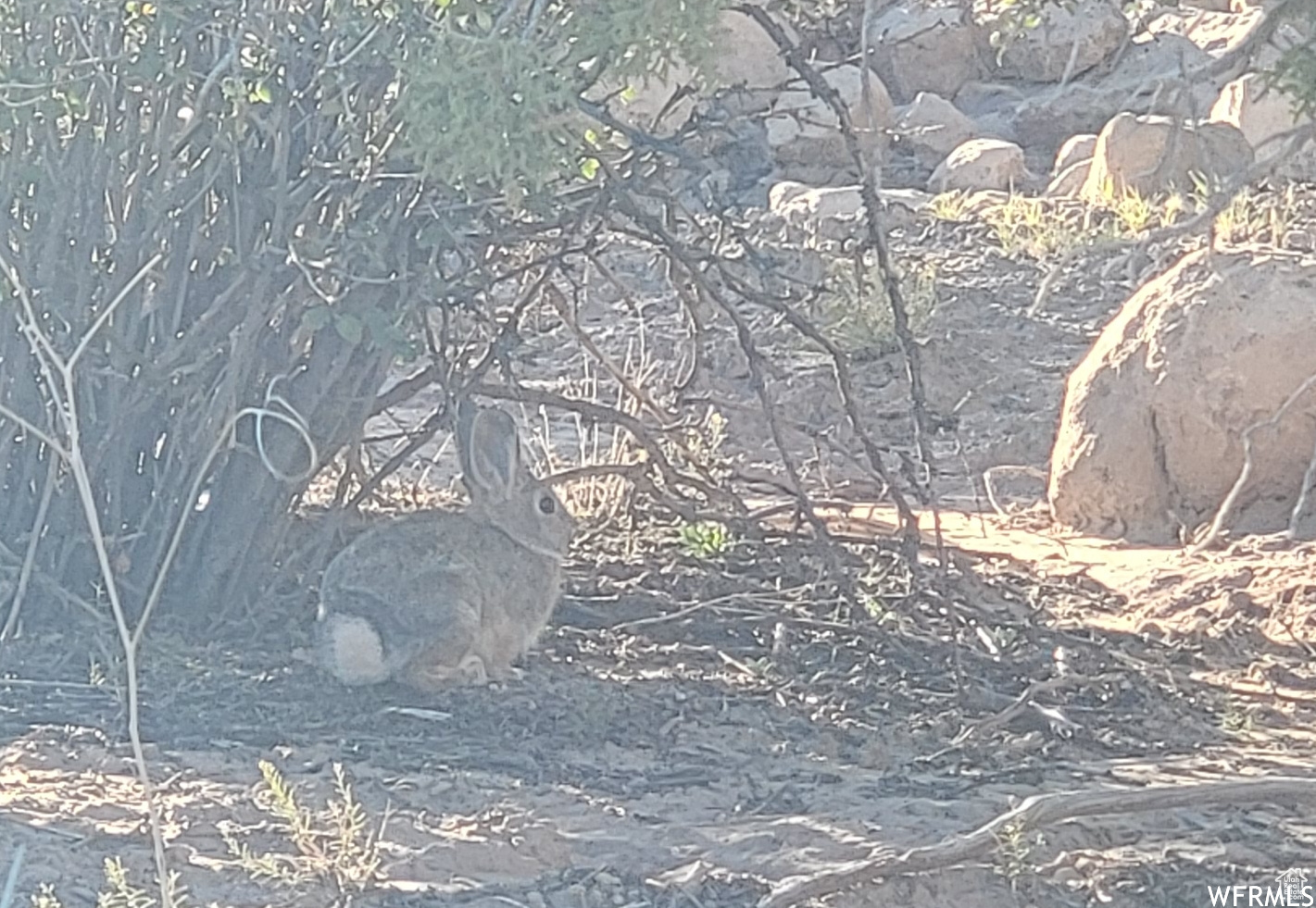LAKE POINTE RANCHES - Land