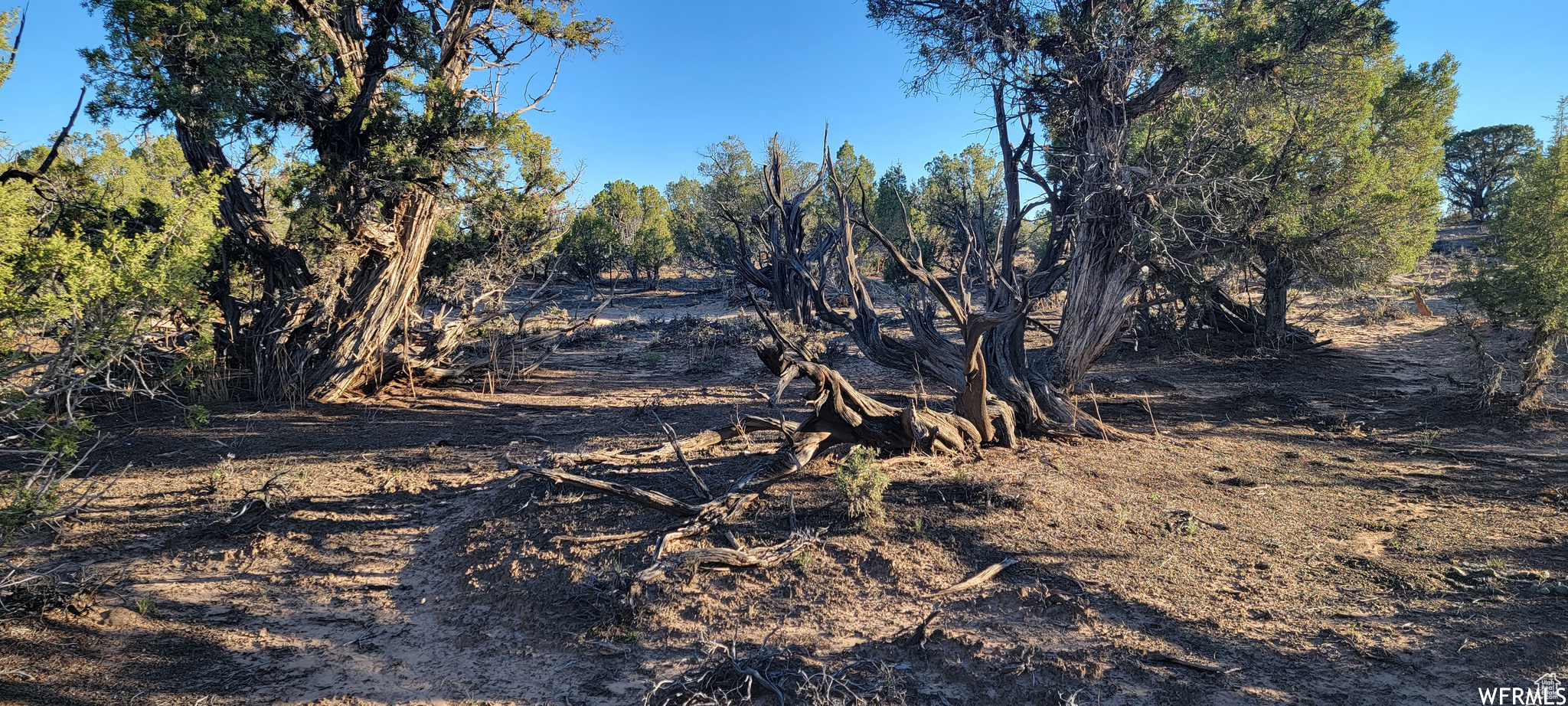 LAKE POINTE RANCHES - Land