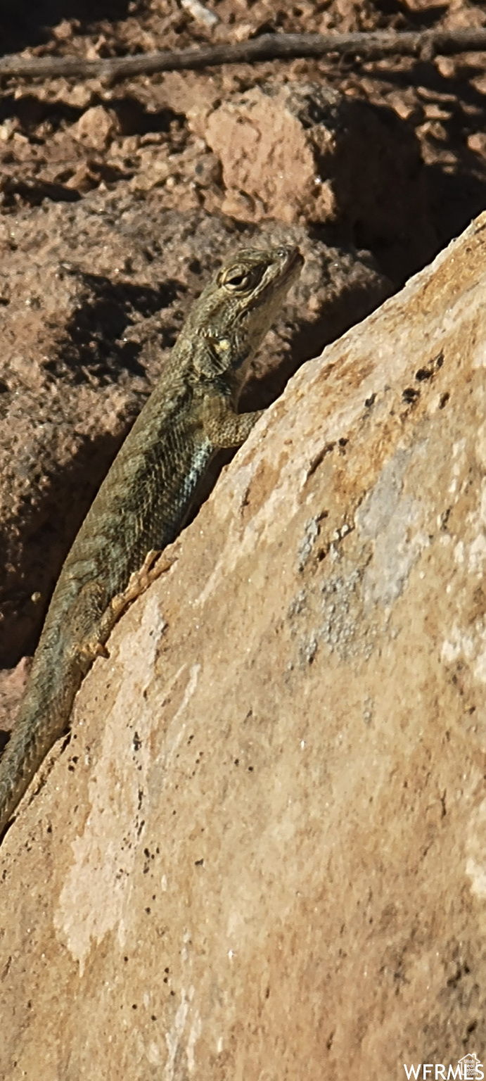 LAKE POINTE RANCHES - Land