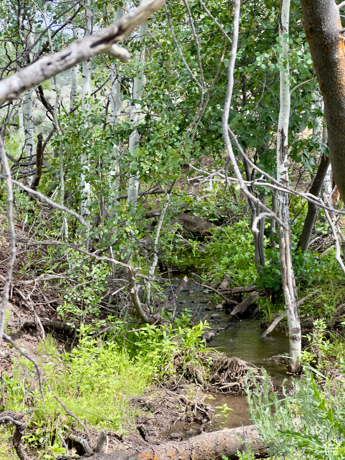 Kamas, Utah 84036, United States, ,Land,Pending,39761