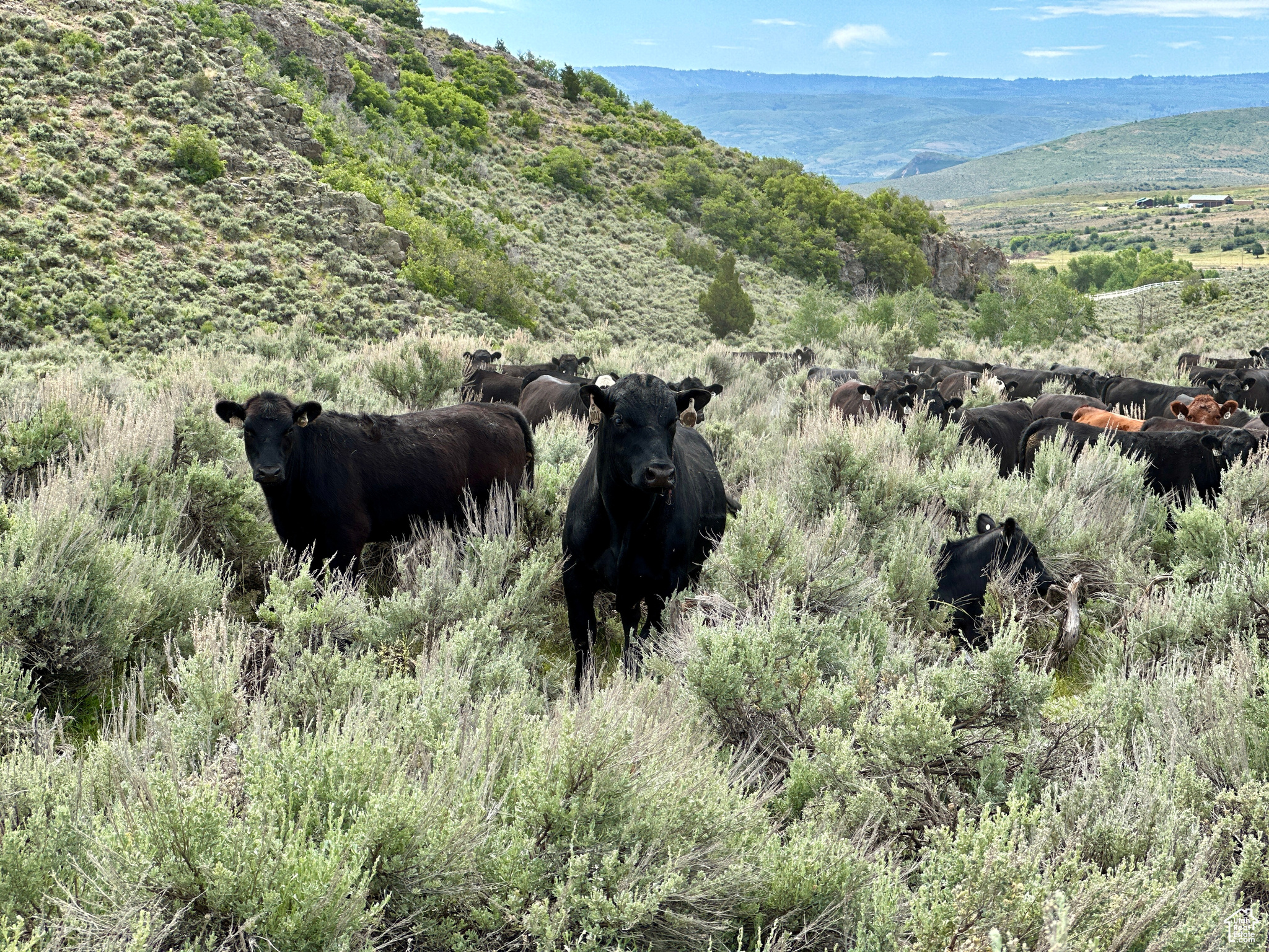 Kamas, Utah 84036, United States, ,Land,Pending,39761