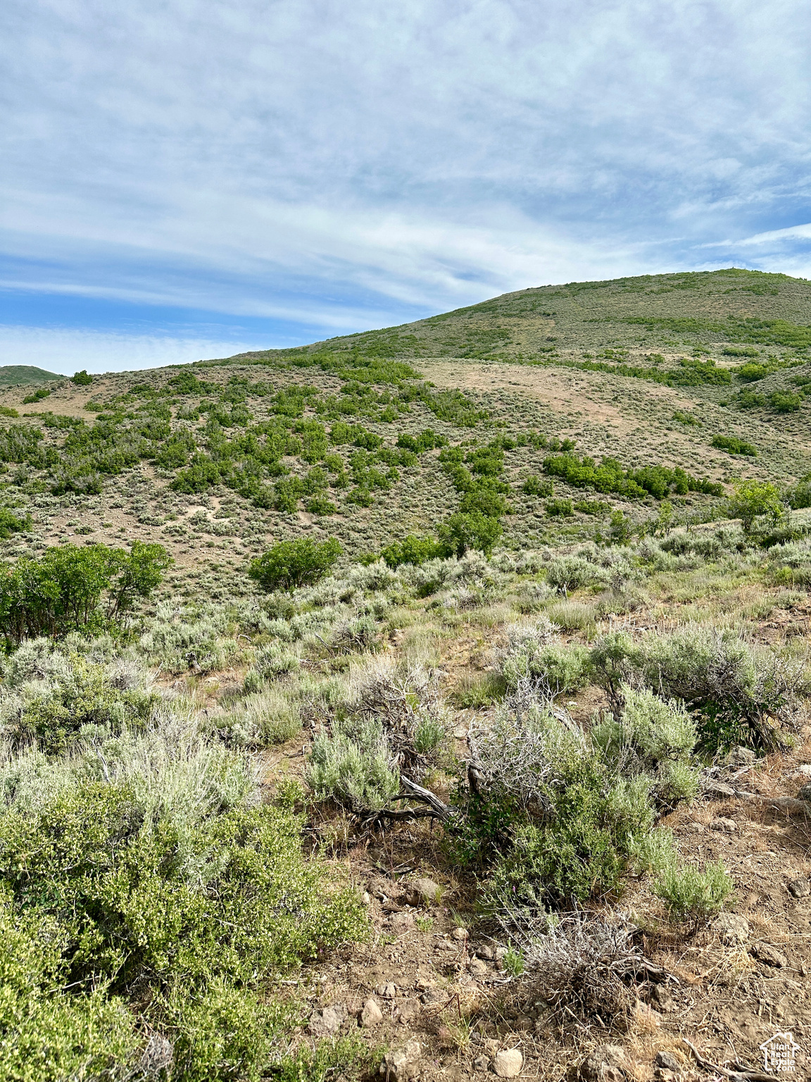 #37, Kamas, Utah image 25