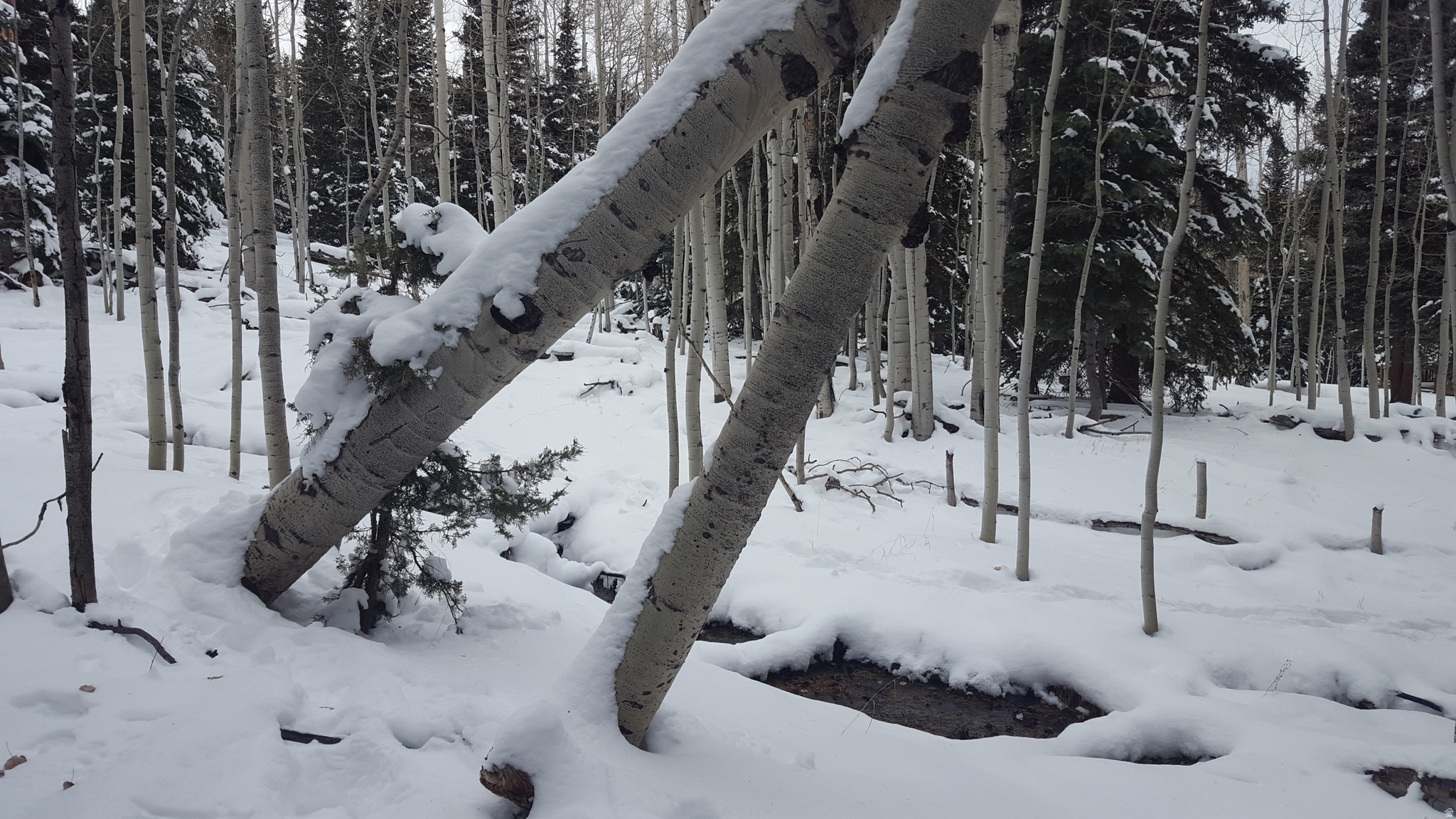 CLEAR CREEK ESTATES - Land