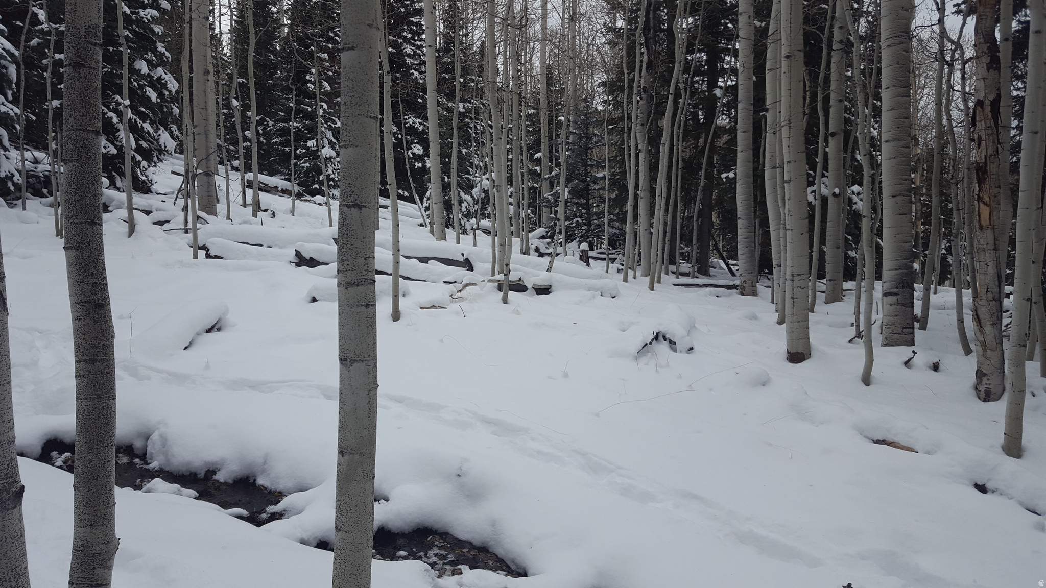 CLEAR CREEK ESTATES - Land