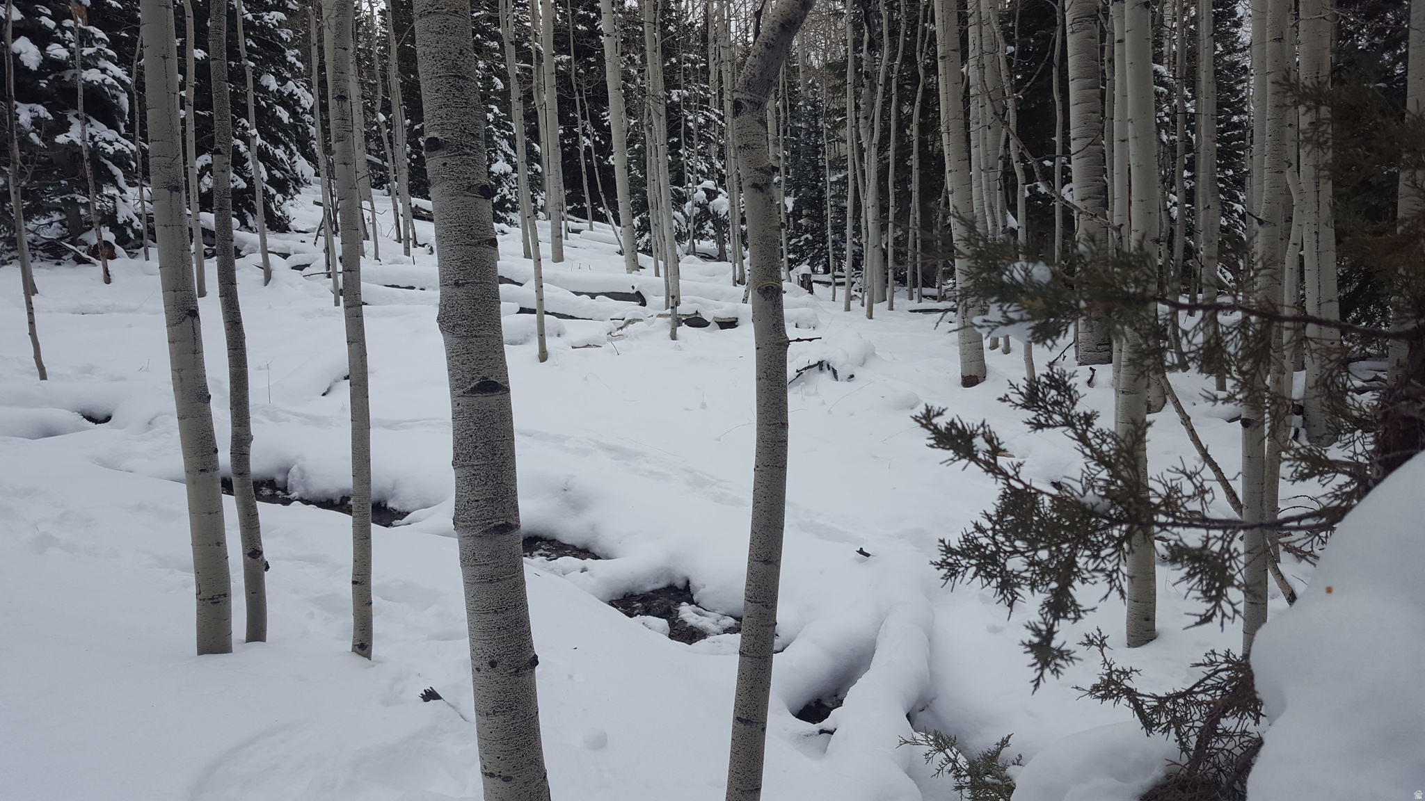 CLEAR CREEK ESTATES - Land