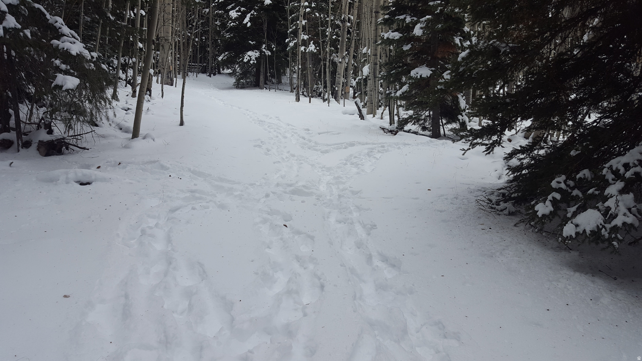 CLEAR CREEK ESTATES - Land